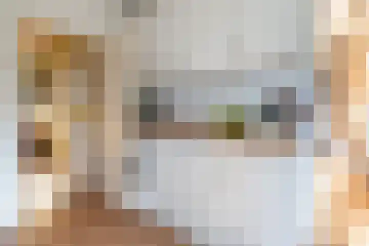 Lijsterlaan 363 Bussum thumbnail 12