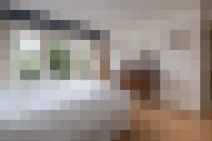 Lijsterlaan 363 Bussum thumbnail 16