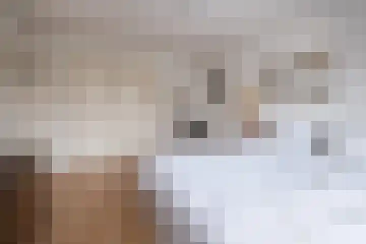 Lijsterlaan 363 Bussum thumbnail 17
