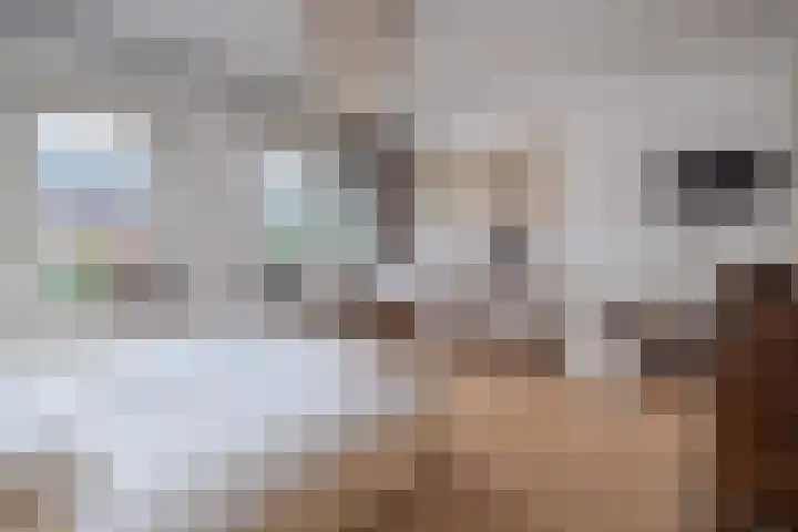 Lijsterlaan 363 Bussum thumbnail 20