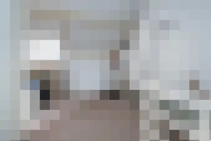 Lijsterlaan 363 Bussum thumbnail 30