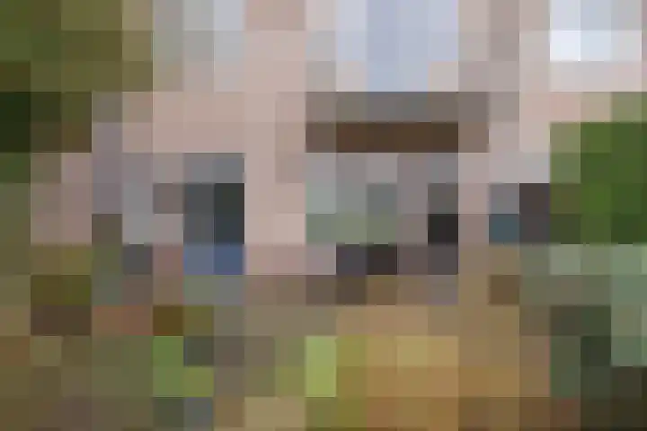 Lijsterlaan 363 Bussum thumbnail 34