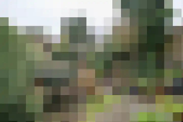 Lijsterlaan 363 Bussum thumbnail 35