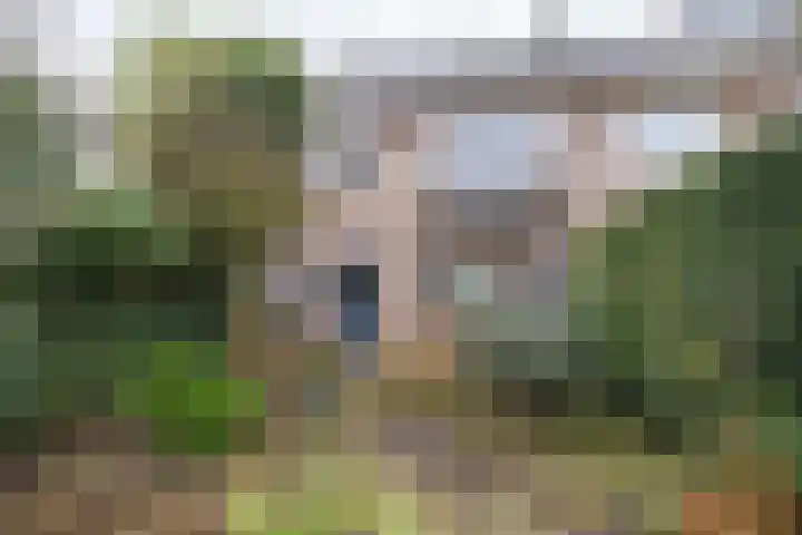 Lijsterlaan 363 Bussum thumbnail 36
