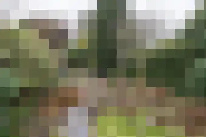 Lijsterlaan 363 Bussum thumbnail 37