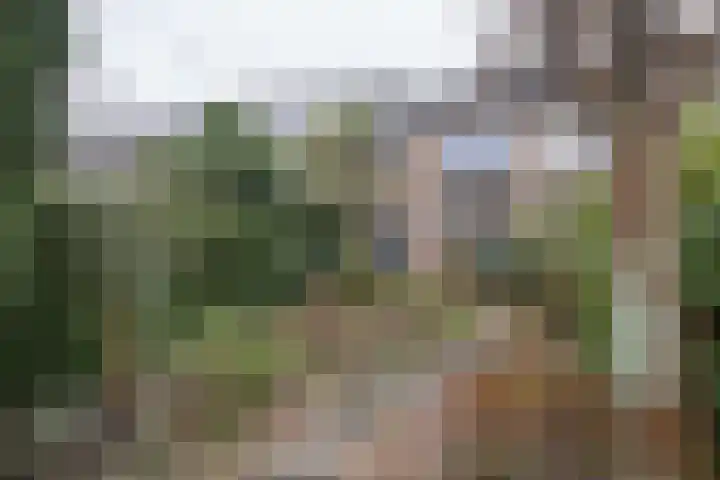 Lijsterlaan 363 Bussum thumbnail 38