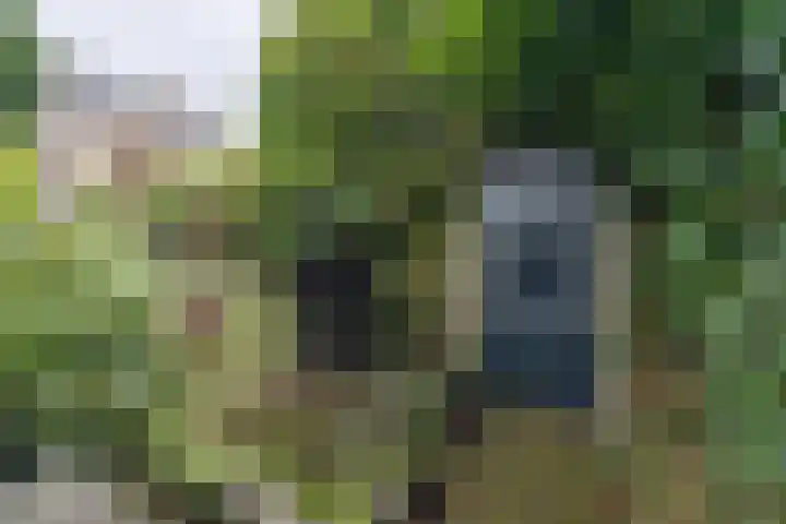 Lijsterlaan 363 Bussum thumbnail 39