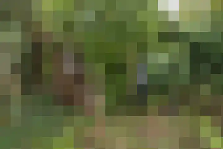 Lijsterlaan 363 Bussum thumbnail 40