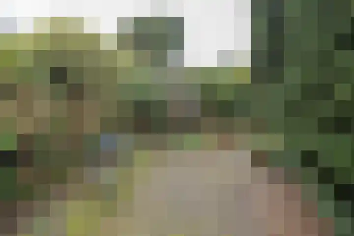 Lijsterlaan 363 Bussum thumbnail 41
