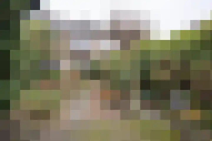 Lijsterlaan 363 Bussum thumbnail 42