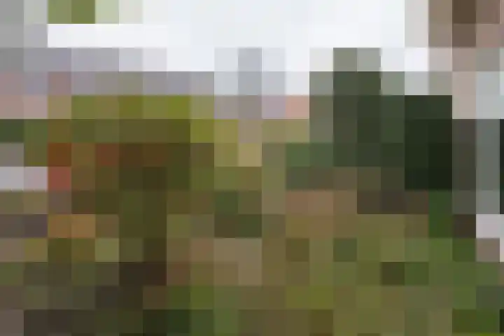 Lijsterlaan 363 Bussum thumbnail 43