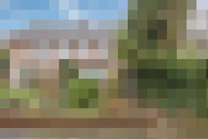 Lijsterlaan 363 Bussum thumbnail 44