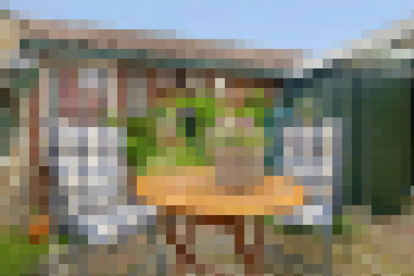 Lijsterlaan 37 Tegelen thumbnail 17