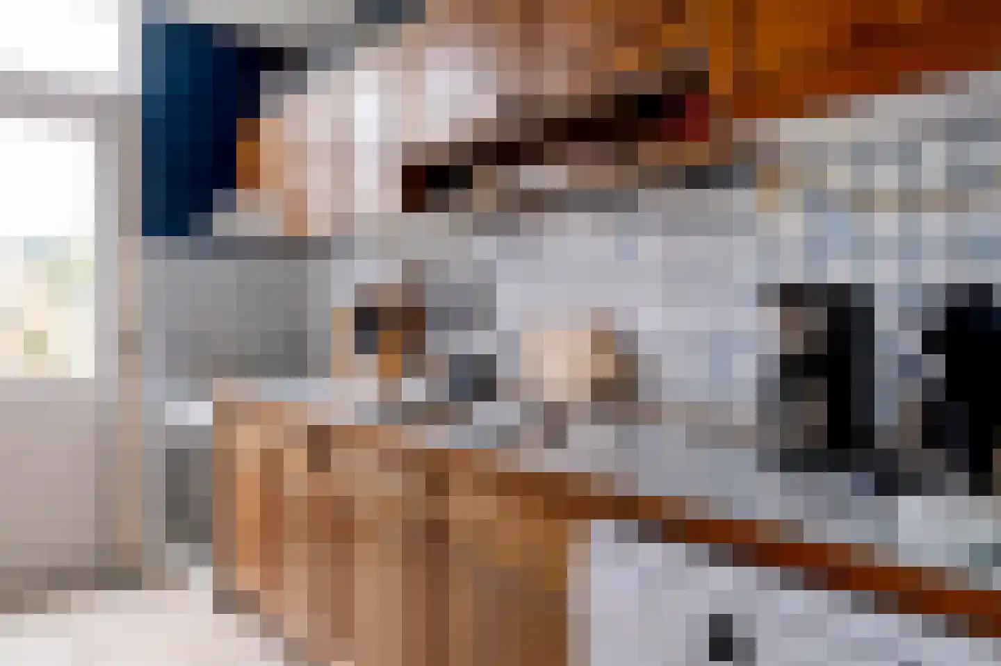 Lijsterlaan 4 Beilen thumbnail 13