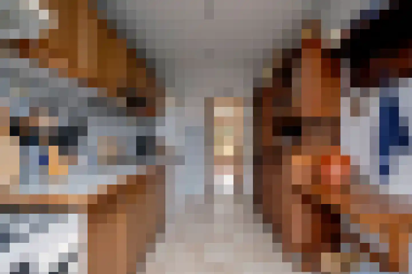 Lijsterlaan 4 Beilen thumbnail 15