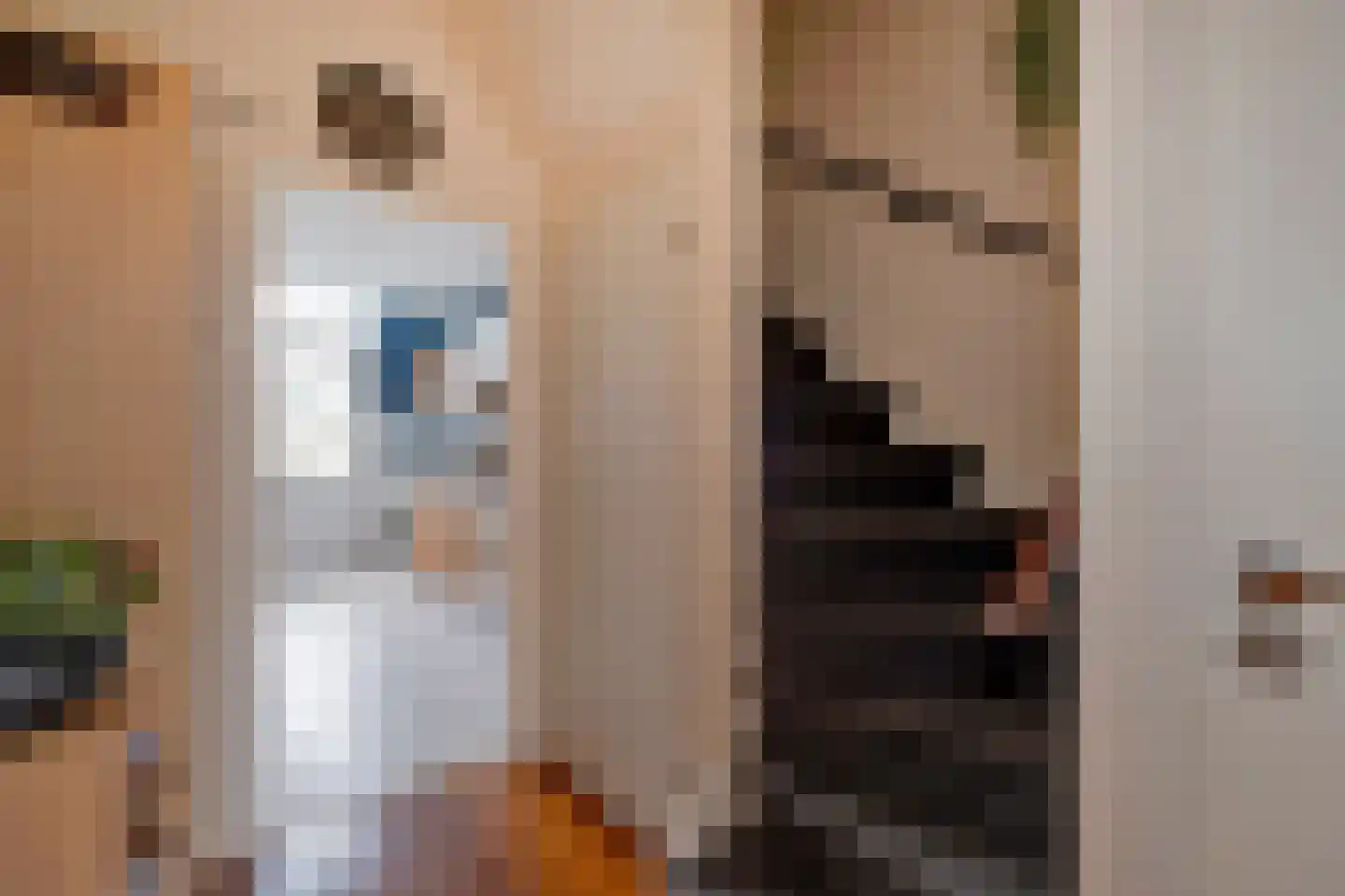 Lijsterlaan 4 Beilen thumbnail 19