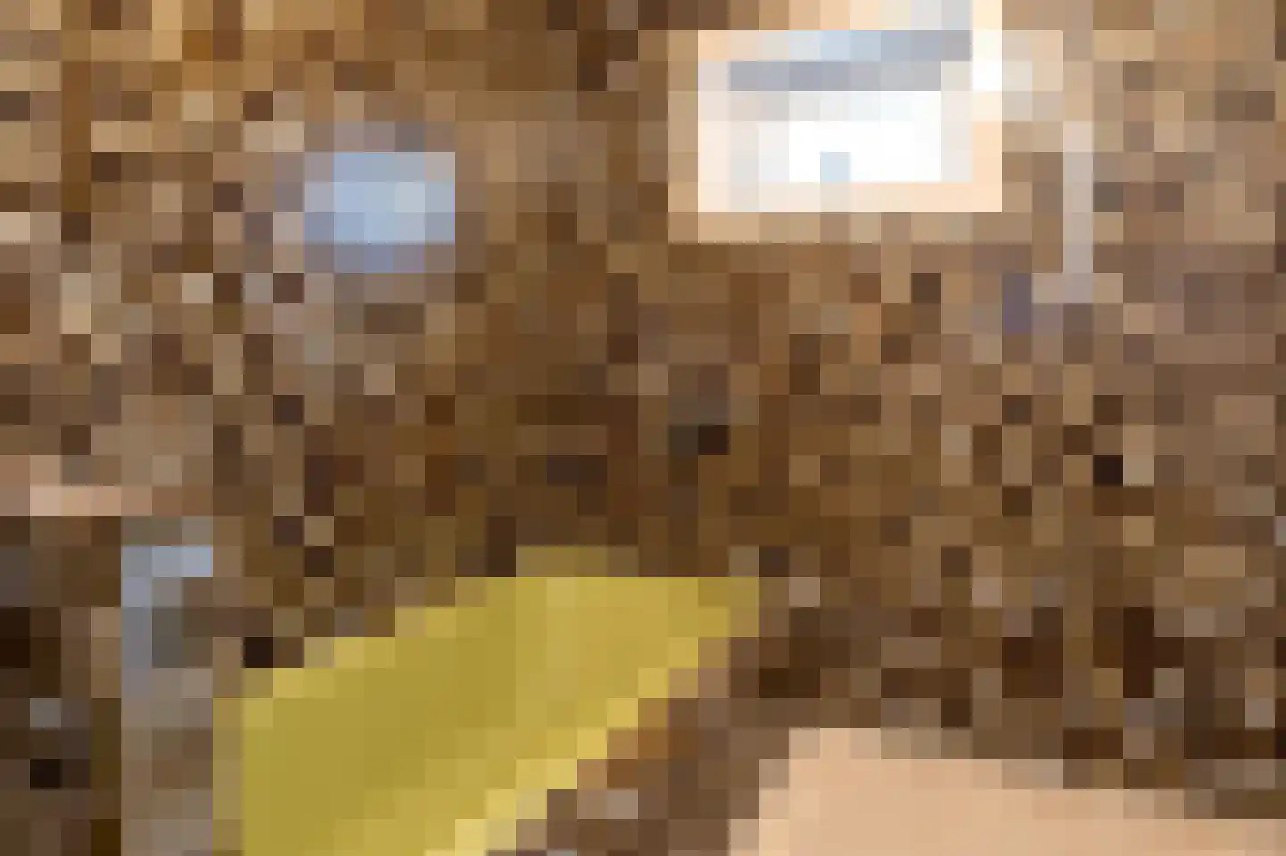 Lijsterlaan 4 Beilen thumbnail 25