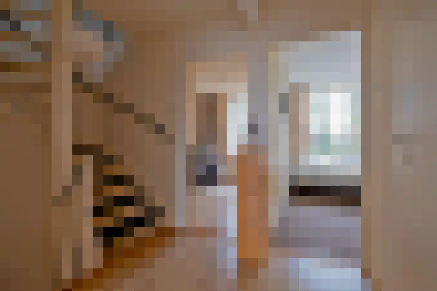 Lijsterlaan 4 Beilen thumbnail 28