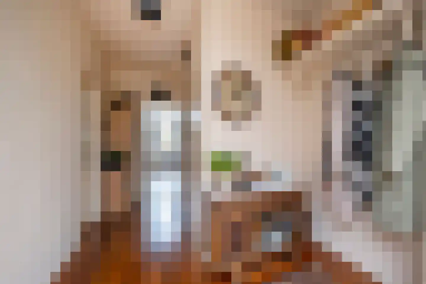 Lijsterlaan 4 Beilen foto 3