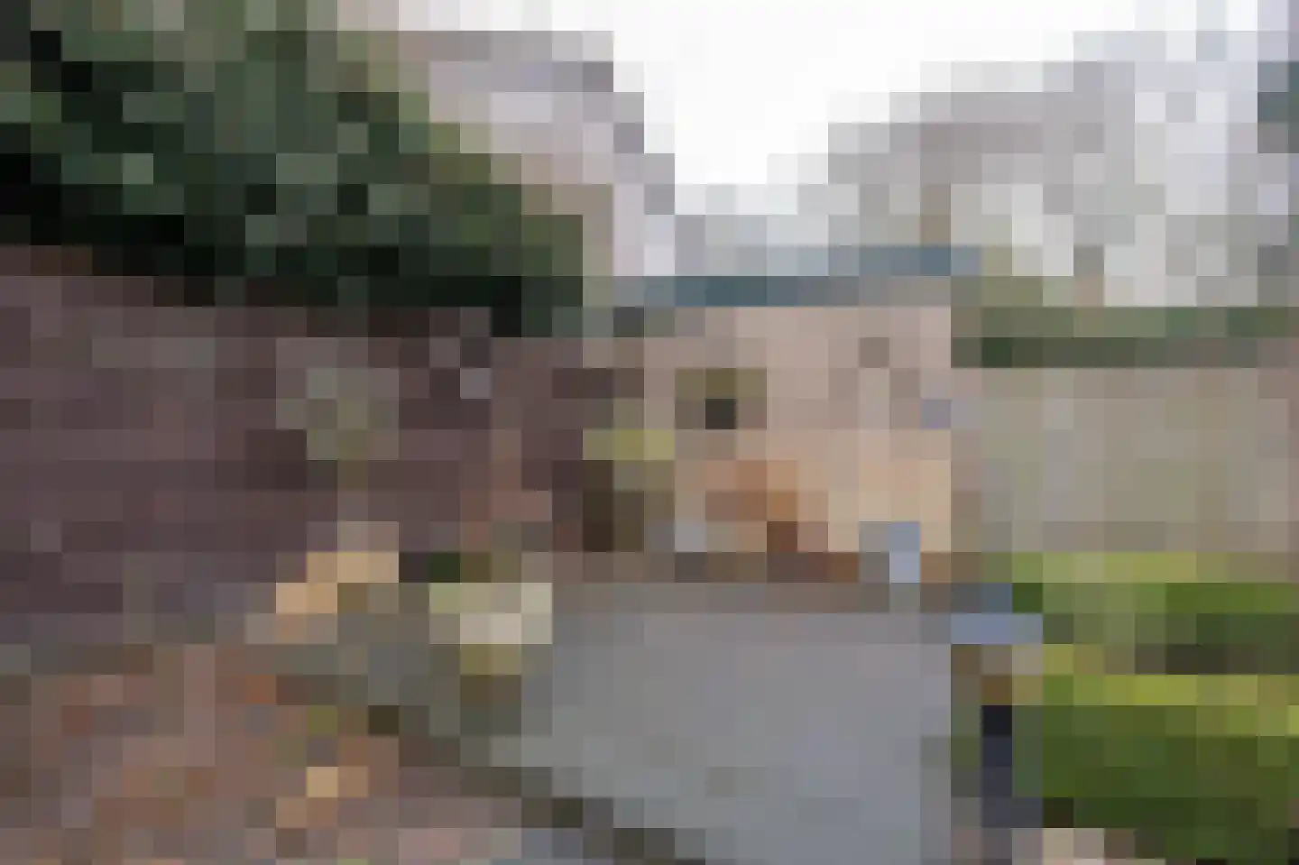 Lijsterlaan 4 Beilen thumbnail 34