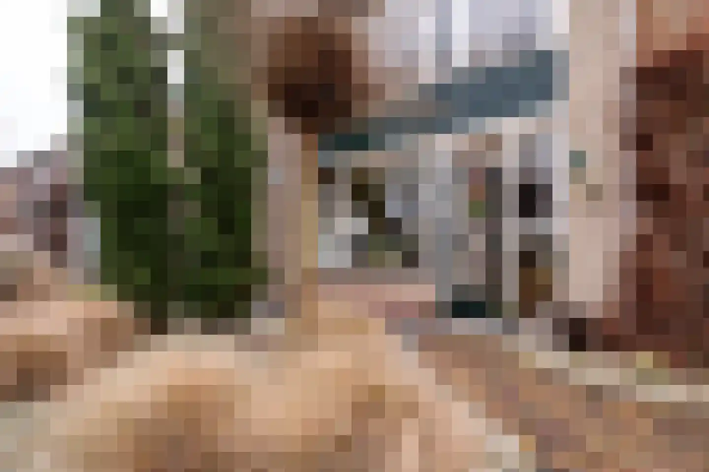 Lijsterlaan 4 Beilen thumbnail 39