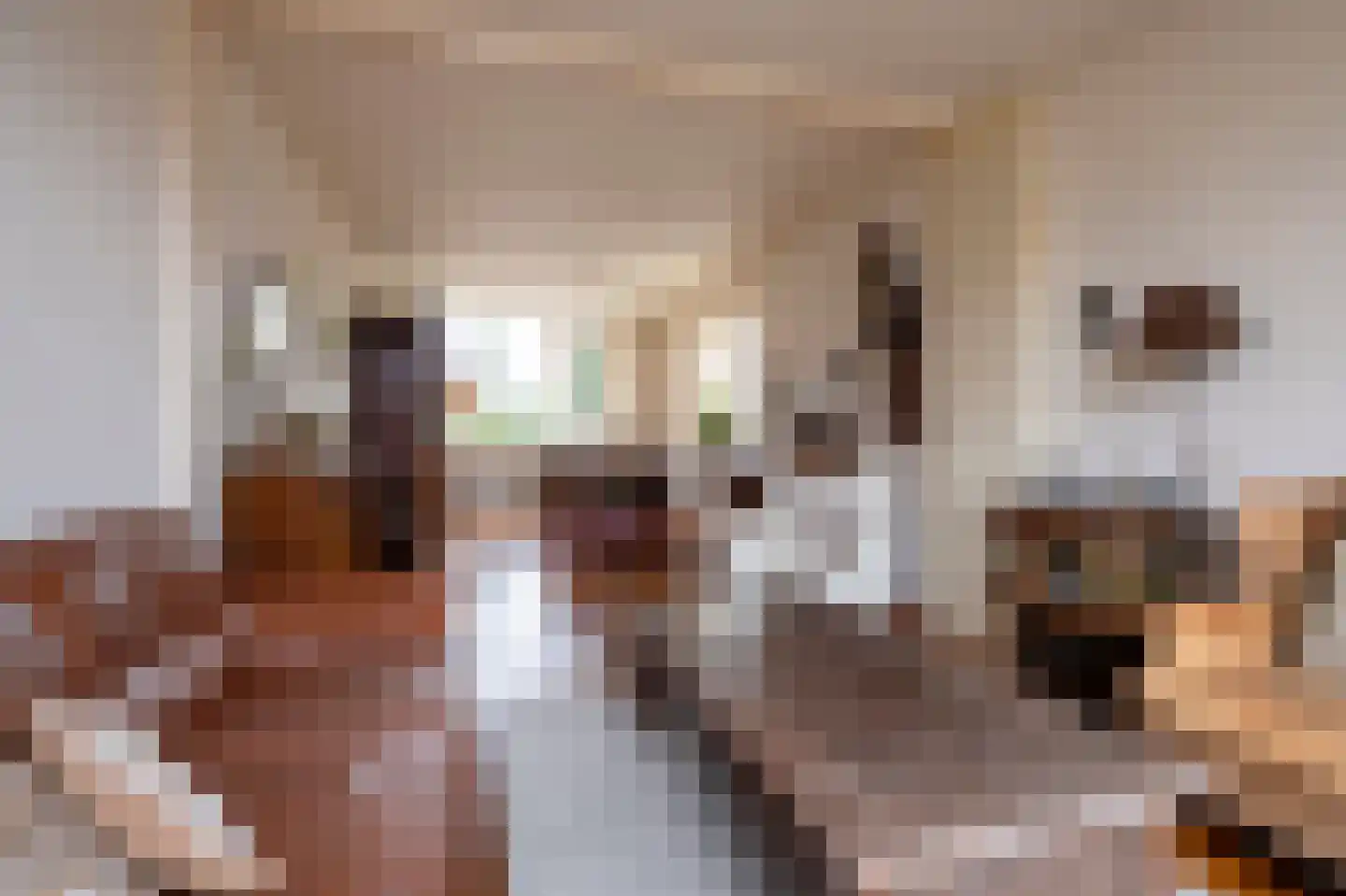 Lijsterlaan 4 Beilen thumbnail 6