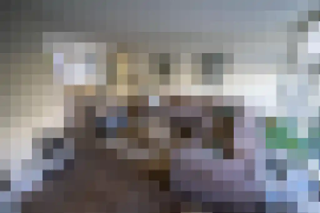 Lijsterlaan 40 Bussum thumbnail 4