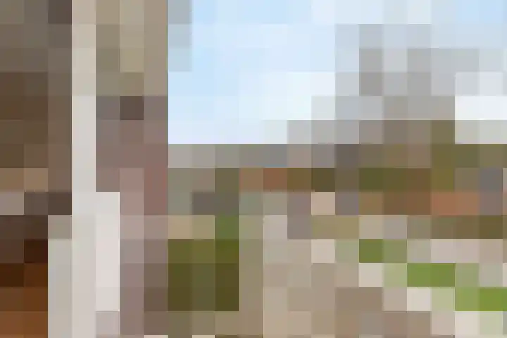 Lijsterlaan 46 Bussum thumbnail 27