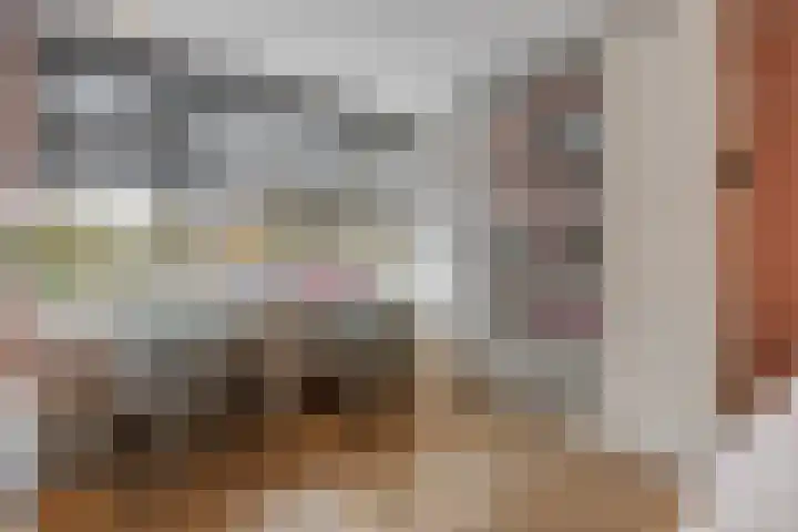 Lijsterlaan 46 Bussum thumbnail 28
