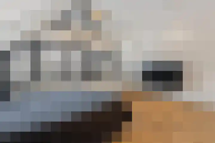 Lijsterlaan 46 Bussum thumbnail 34