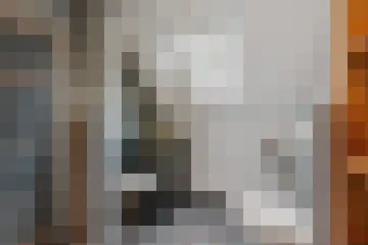 Lijsterlaan 46 Bussum thumbnail 39