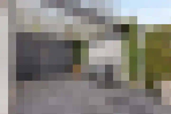 Lijsterlaan 46 Bussum thumbnail 45