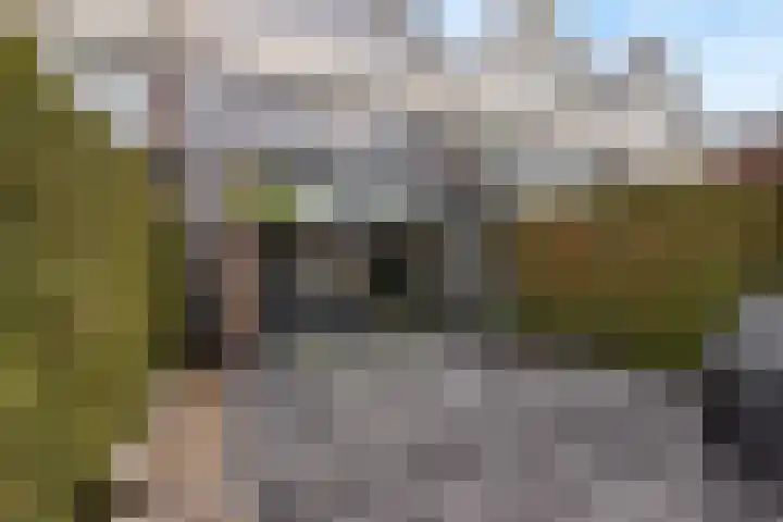 Lijsterlaan 46 Bussum thumbnail 47