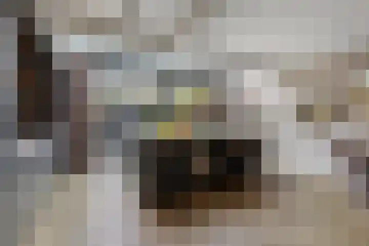 Lijsterlaan 46 Bussum thumbnail 6