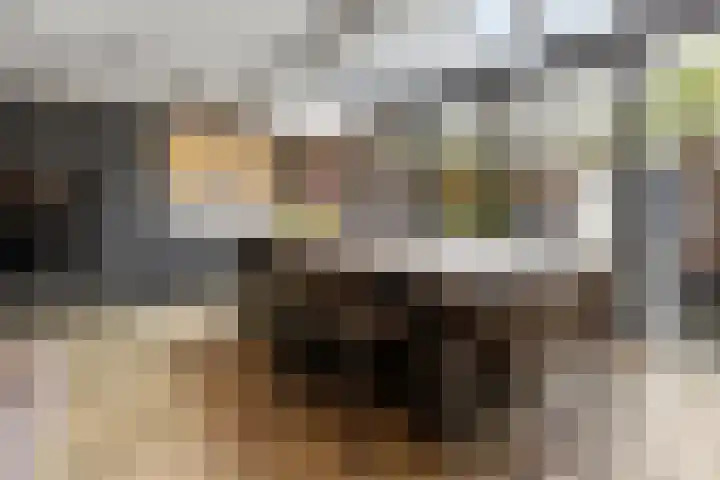 Lijsterlaan 46 Bussum thumbnail 7