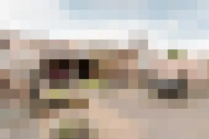 Lijsterlaan 48 Ermelo thumbnail 32