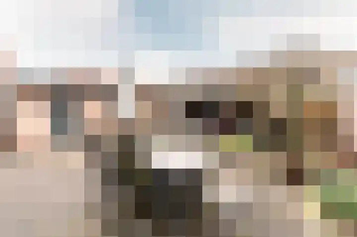 Lijsterlaan 48 Ermelo thumbnail 33