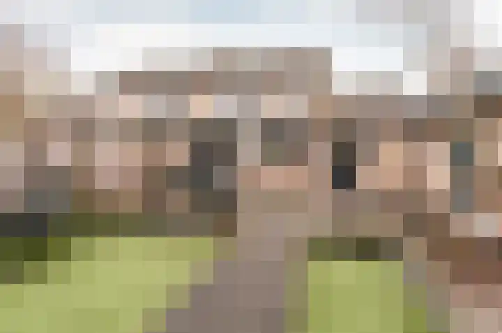 Lijsterlaan 48 Ermelo thumbnail 38