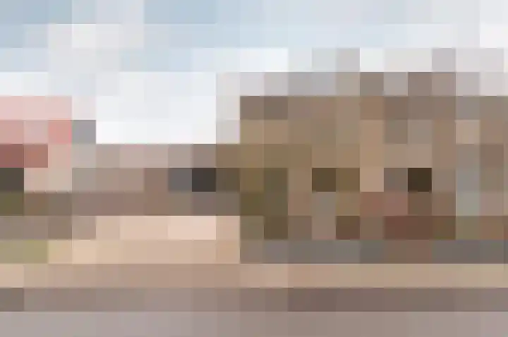 Lijsterlaan 48 Ermelo thumbnail 40