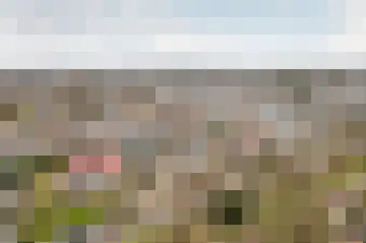 Lijsterlaan 48 Ermelo thumbnail 44