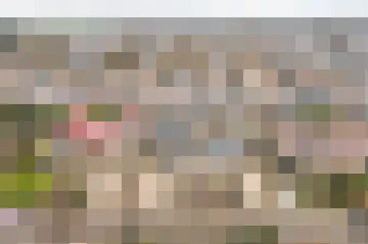 Lijsterlaan 48 Ermelo thumbnail 45