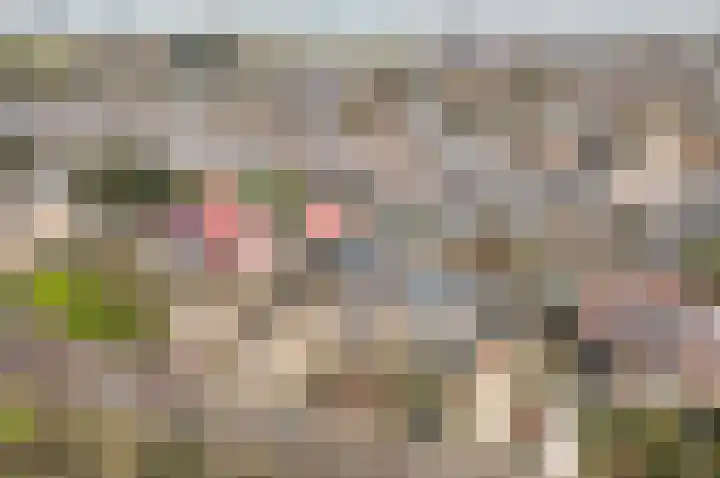 Lijsterlaan 48 Ermelo thumbnail 46