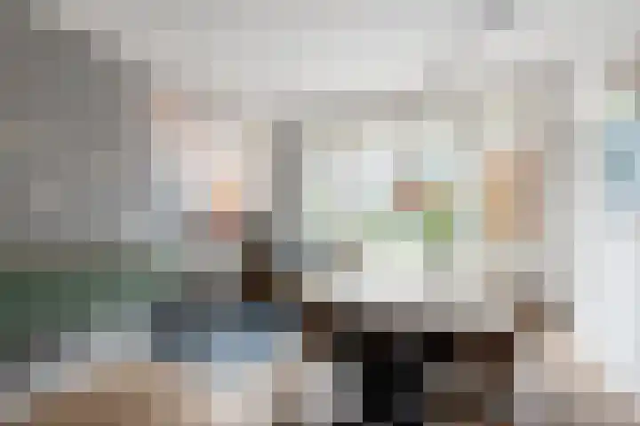 Lijsterlaan 49 Rotterdam thumbnail 10