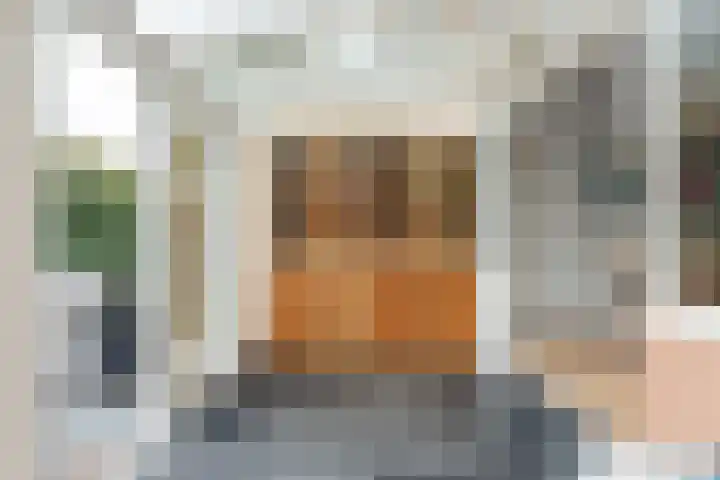 Lijsterlaan 49 Rotterdam thumbnail 14