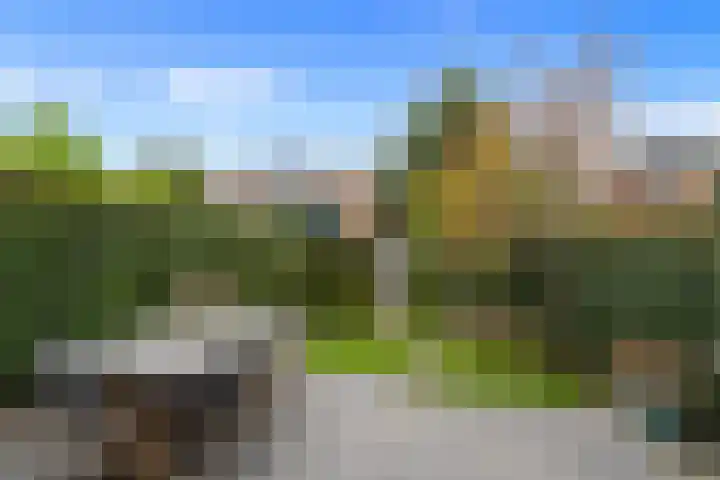 Lijsterlaan 49 Rotterdam thumbnail 19