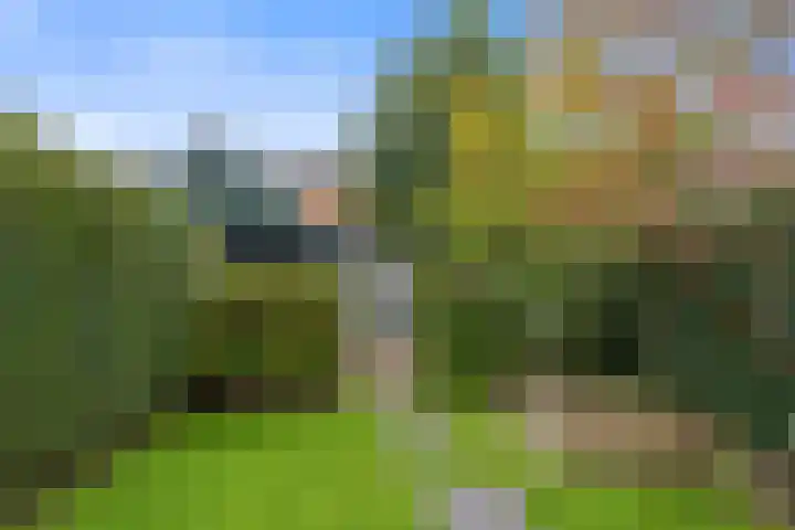 Lijsterlaan 49 Rotterdam thumbnail 20