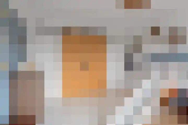 Lijsterlaan 49 Rotterdam thumbnail 23