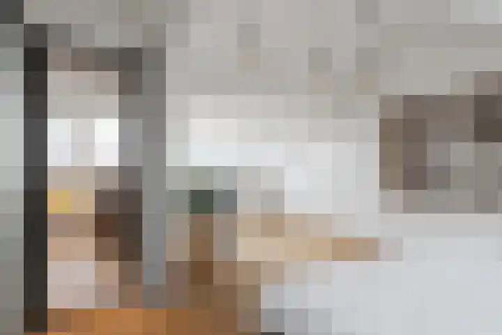 Lijsterlaan 49 Rotterdam thumbnail 33