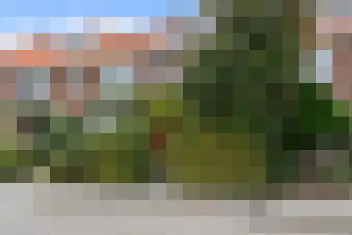 Lijsterlaan 49 Rotterdam thumbnail 38
