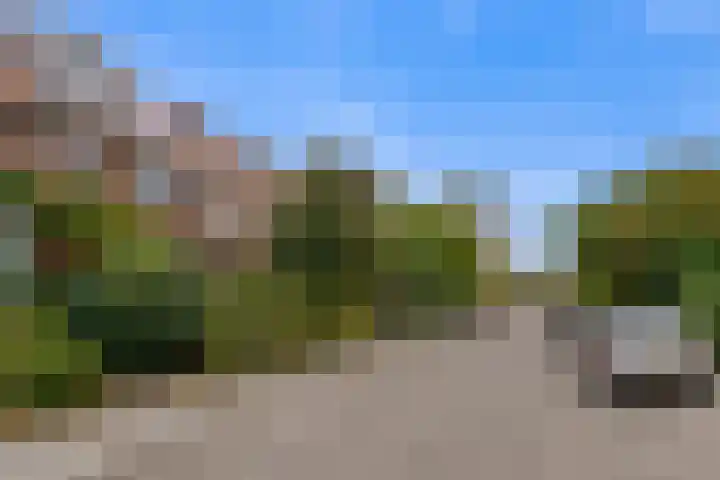 Lijsterlaan 49 Rotterdam thumbnail 39